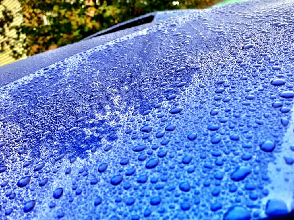 null-15.jpg
