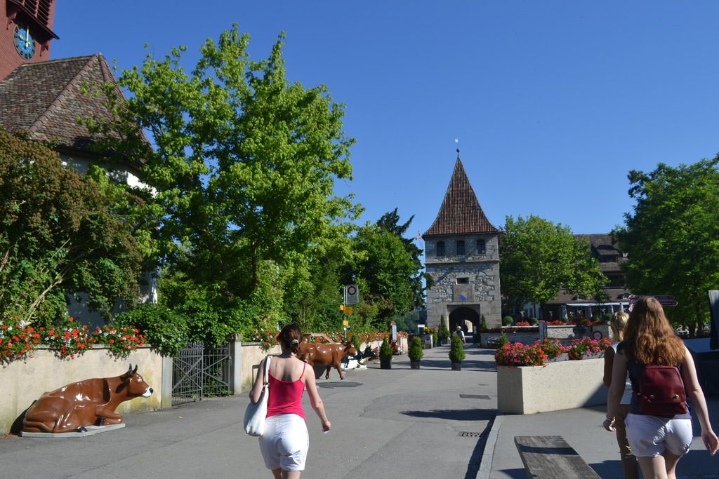 photo DSC_0391_zps2lks3hdd.jpg