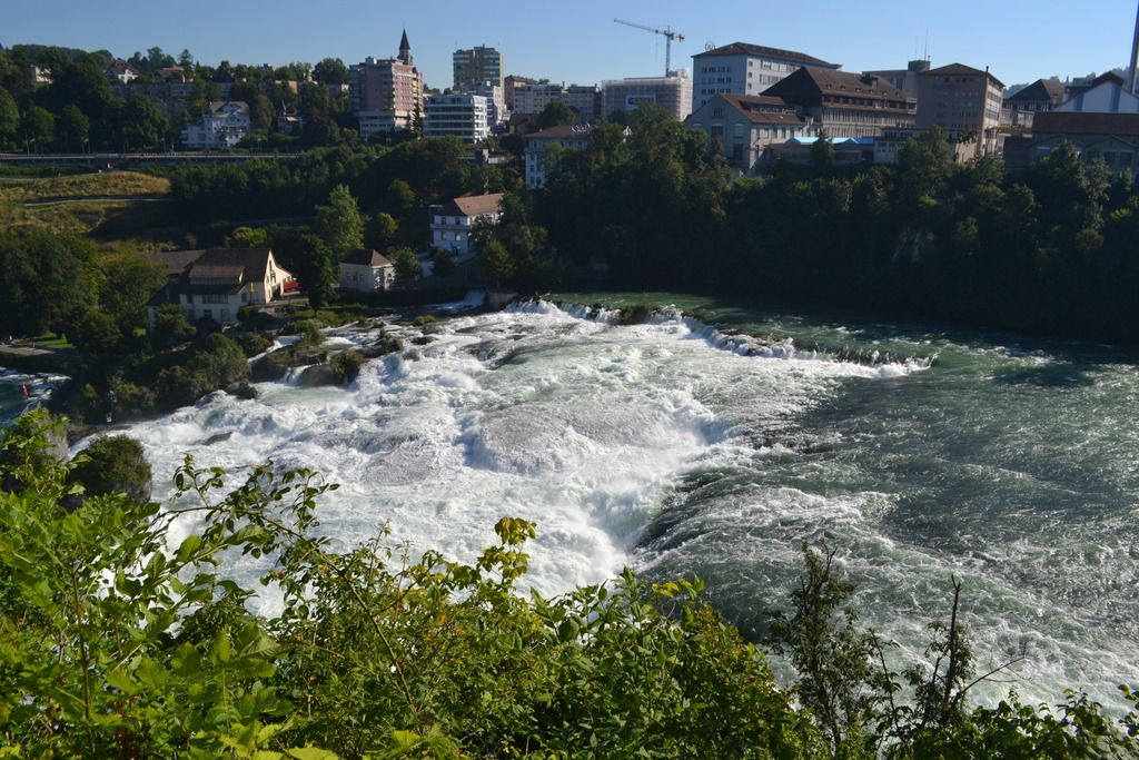 photo DSC_0397_zpsw2fmdafr.jpg