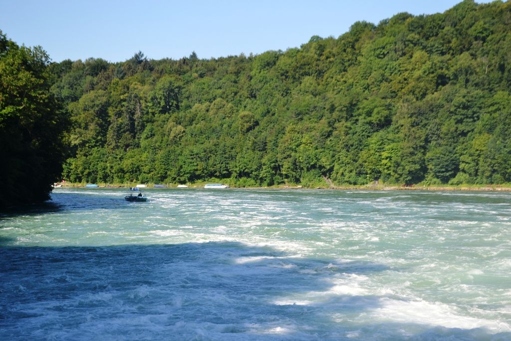 photo DSC_0487_zpseqxxarvu.jpg