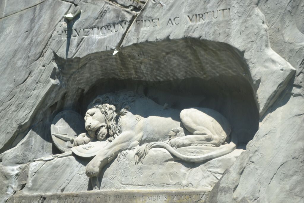 photo DSC_0551_zpsdeyo0ru9.jpg
