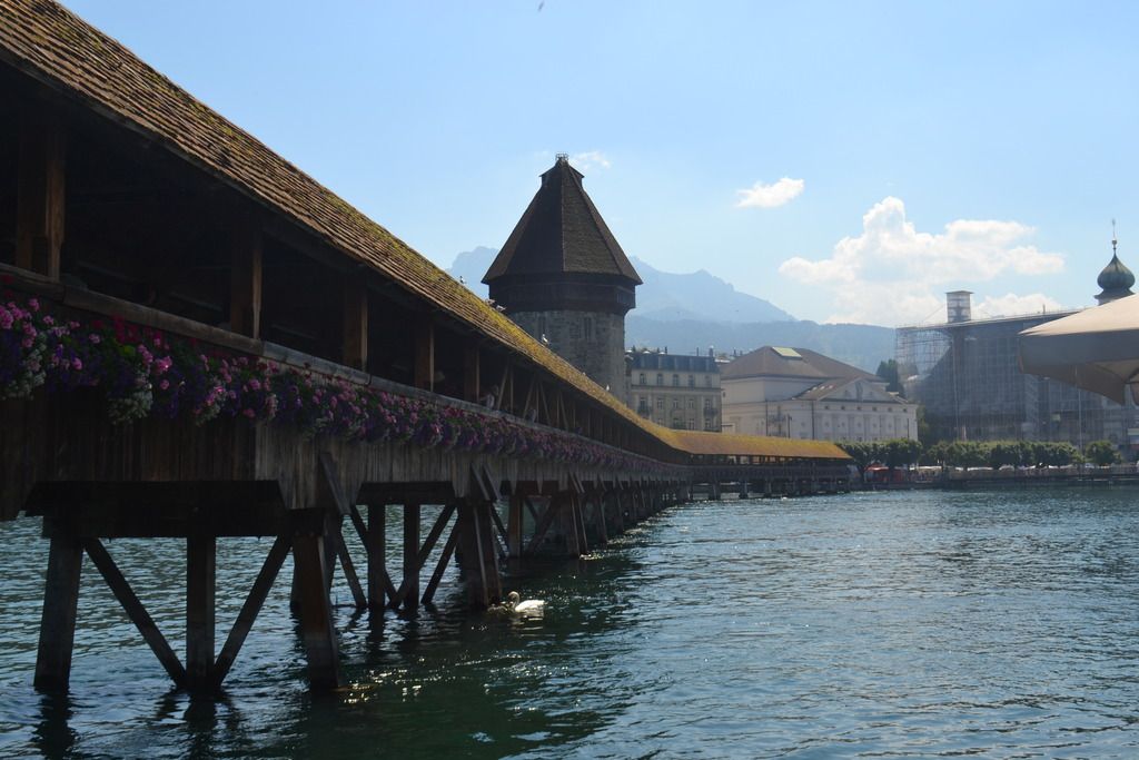 photo DSC_0573_zpsgyw8pkqp.jpg