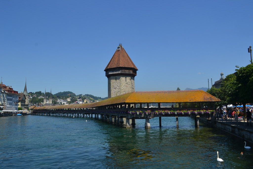 photo DSC_0594_zpsqmwcvwmt.jpg