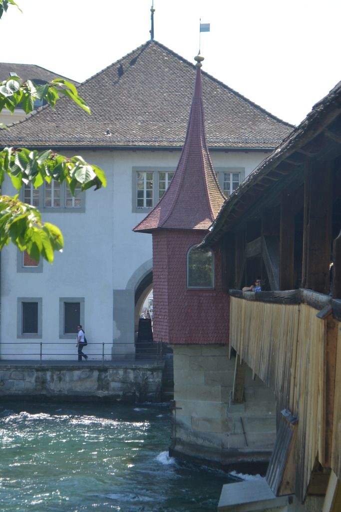 photo DSC_0631_zpsbktfckin.jpg