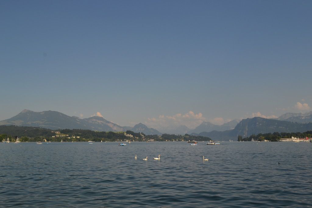 photo DSC_0653_zps4ra8rylm.jpg