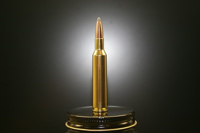 6mmRemington100grPartition.jpg