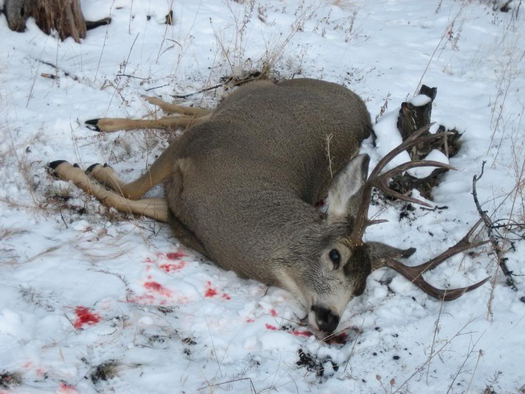 DeerHunt2012006.jpg