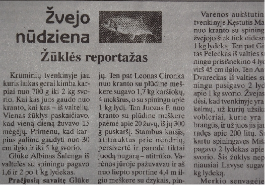 Paveikslėlis