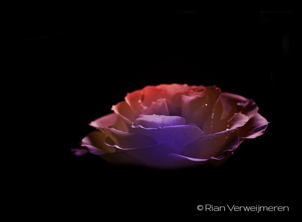  photo CRW_3417copy_zpsb6bfb931.jpg