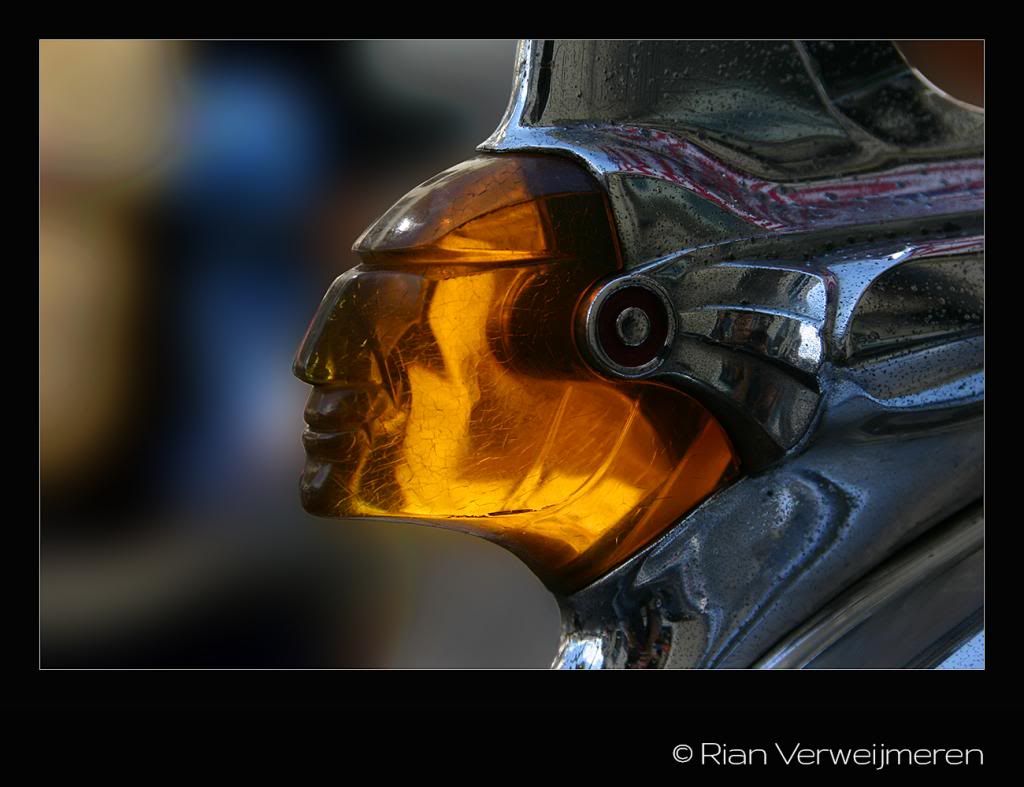  photo IMG_0795_zpse31a8640.jpg