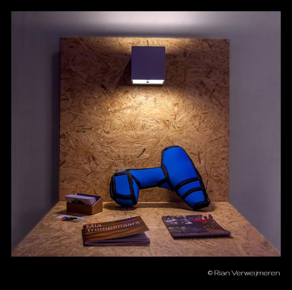  photo IMG_0981-1_zps0ba553ef.jpg