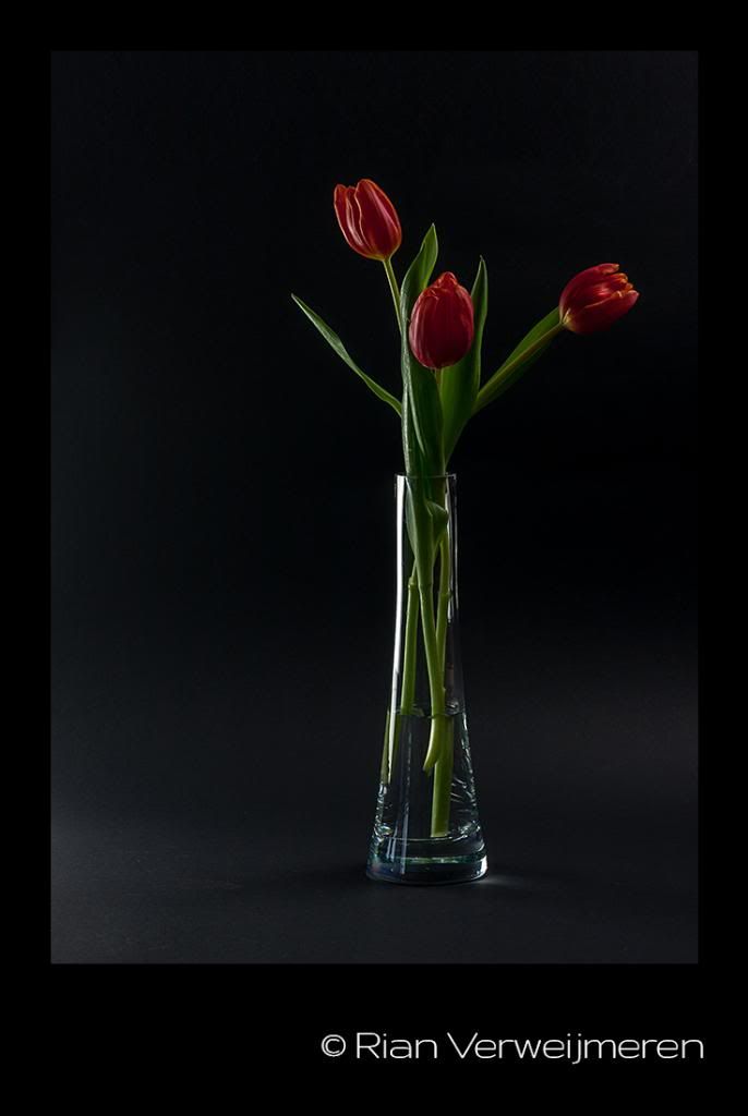  photo IMG_1640-1_zps13e3495d.jpg