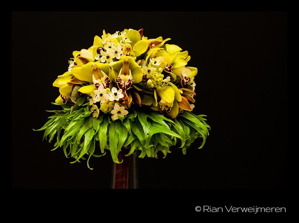  photo IMG_1820_zpsbbc91b29.jpg