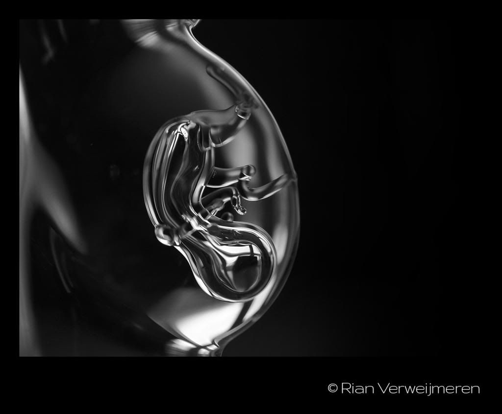  photo IMG_4548_zps96cfdd1e.jpg