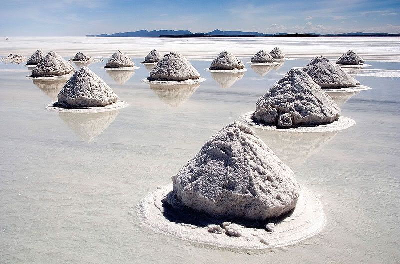 salar salar