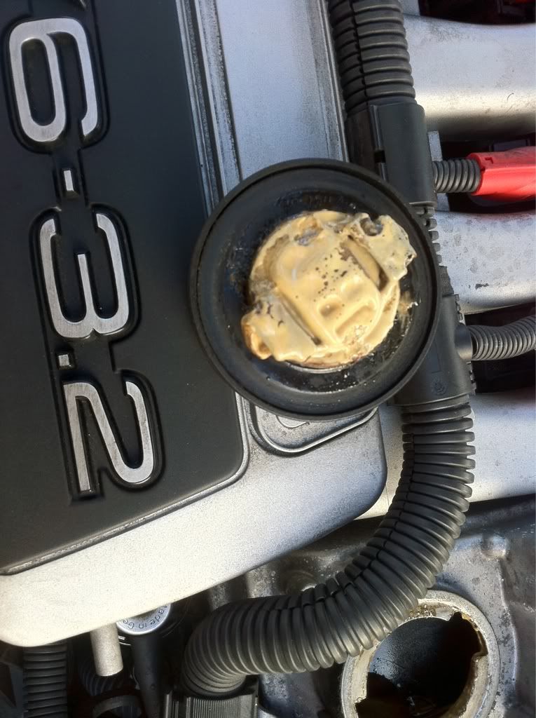 Has my Head Gasket gone? With pics. Audi TT Forum