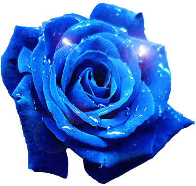 Animated Blue Rose