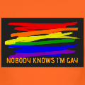nobody-knows-i-m-gay-orange-black_design.png