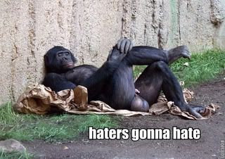 haters-gonna-hate-monkey-crossed20legs-1291945299k.jpg