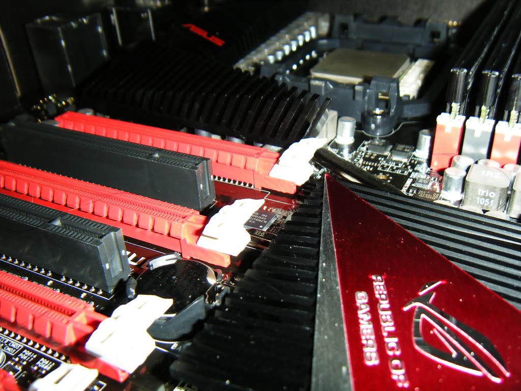 DSCF5013.jpg