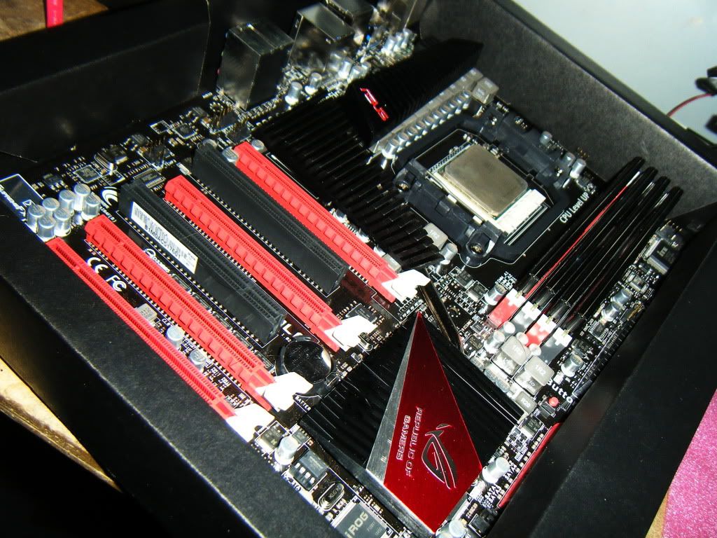 DSCF5015.jpg