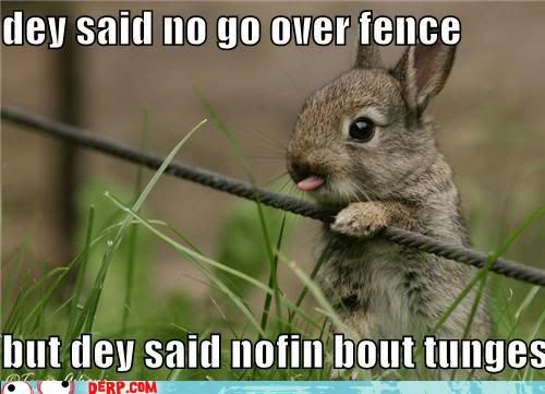 hurr-durr-derp-face-dey-said-no-go-over-fence-but-dey-said-nofin-bout-tunges.jpg