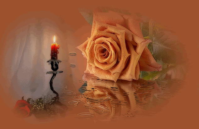 Animated candles Pictures, Images and Photos