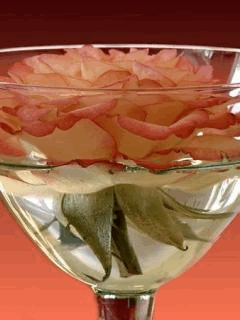 Animated flower Pictures, Images and Photos