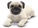 PUG