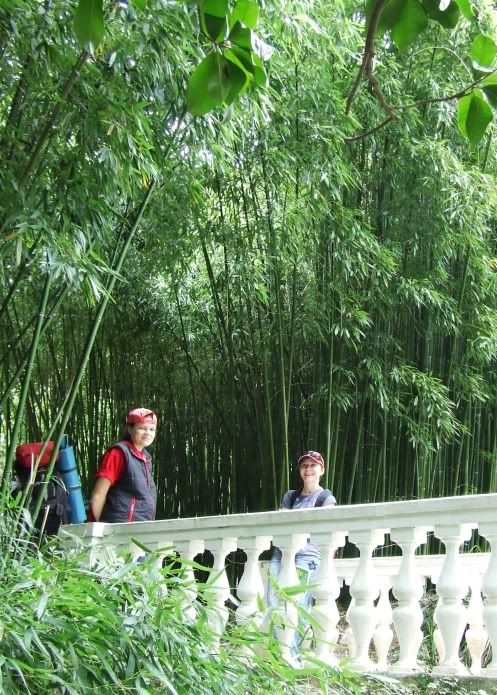 25 girls and bamboo