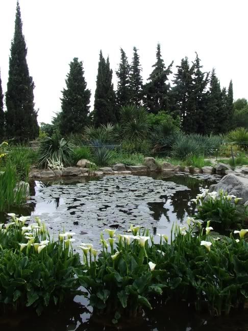 33 beautiful pond