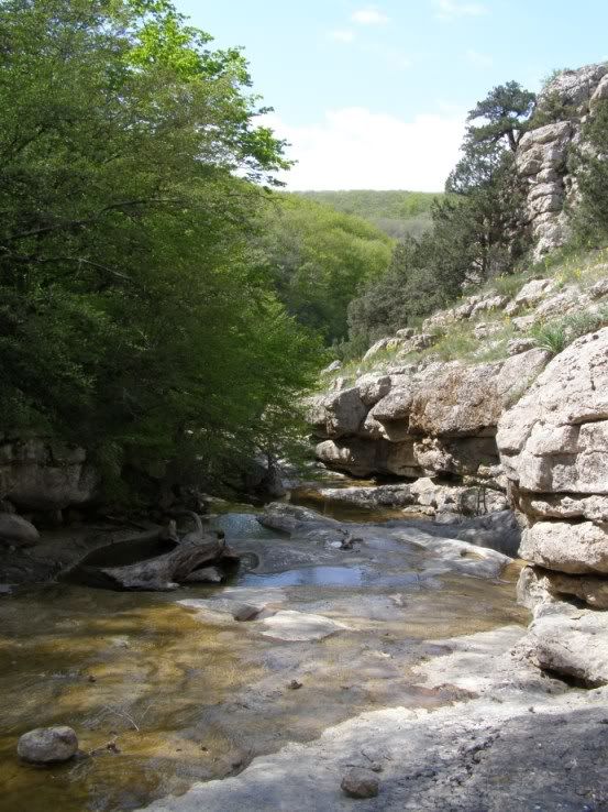 15 Armanka